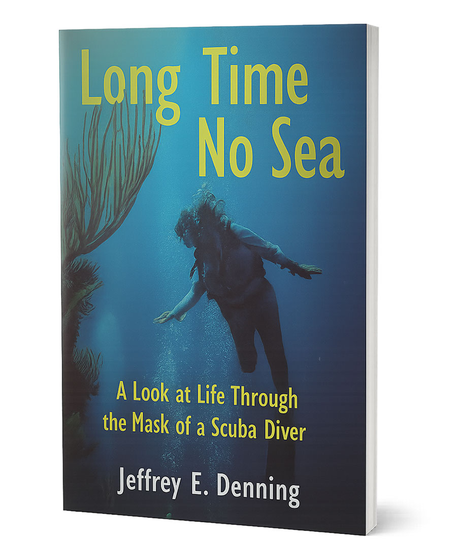 LongTimeNoSea-book