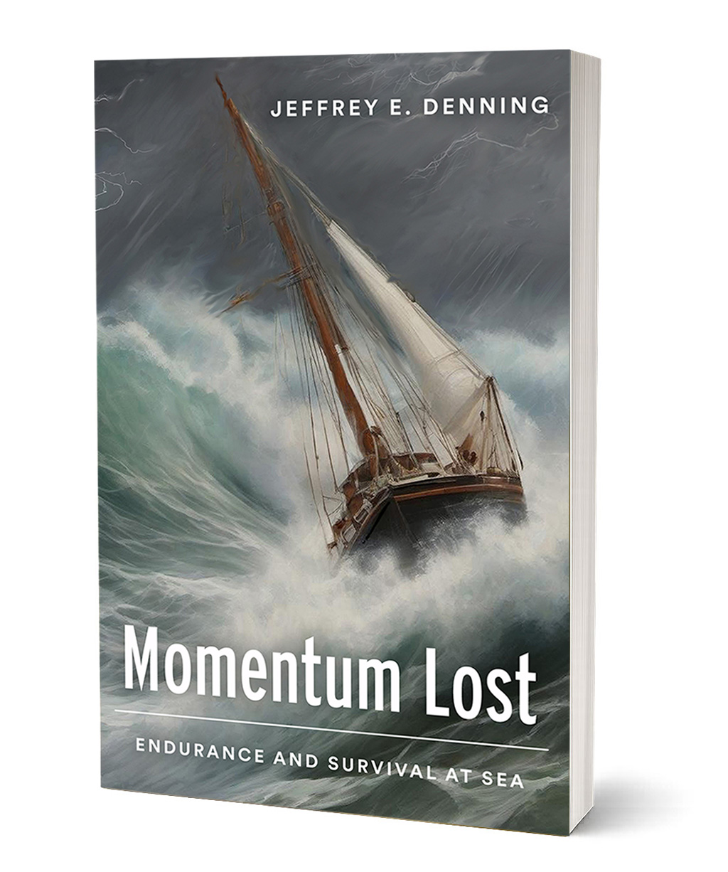 momentum lost final cover web smaller
